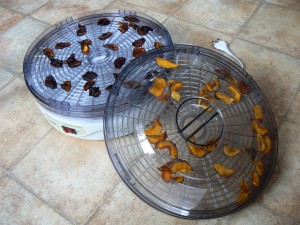 Food Dehydrator 