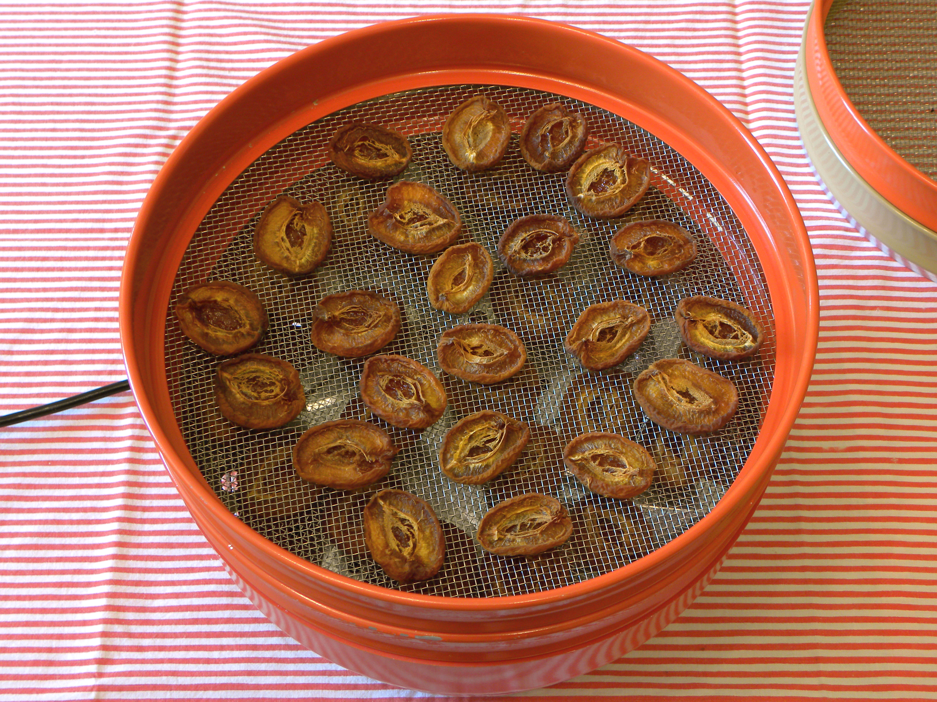 Food Dehydrator