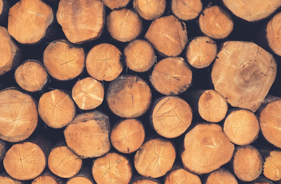 different type of wood